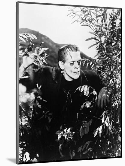 Frankenstein: Frankenstein, 1931-null-Mounted Photographic Print