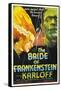 Frankenstein Lives Again!, 1935, "Bride of Frankenstein" Directed by James Whale-null-Framed Stretched Canvas