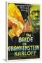 Frankenstein Lives Again!, 1935, "Bride of Frankenstein" Directed by James Whale-null-Stretched Canvas