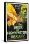 Frankenstein Lives Again!, 1935, "Bride of Frankenstein" Directed by James Whale-null-Framed Stretched Canvas