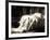 Frankenstein, Mae Clarke on lobbycard, 1931-null-Framed Art Print