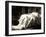 Frankenstein, Mae Clarke on lobbycard, 1931-null-Framed Art Print