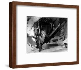 Frankenstein Meets the Wolf Man-null-Framed Photo