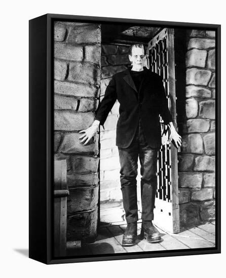 Frankenstein-null-Framed Stretched Canvas