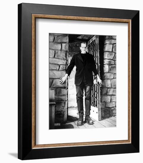 Frankenstein-null-Framed Photo