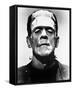 Frankenstein-null-Framed Stretched Canvas