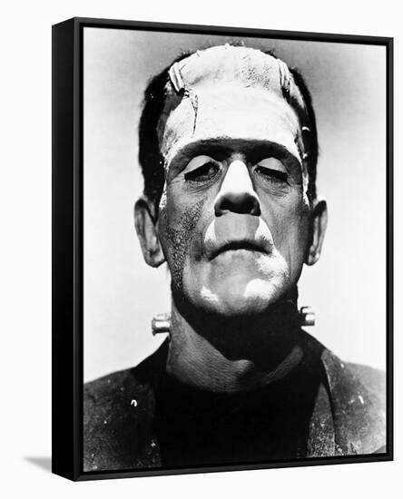 Frankenstein-null-Framed Stretched Canvas