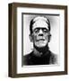 Frankenstein-null-Framed Photo