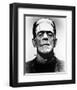 Frankenstein-null-Framed Photo