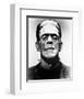 Frankenstein-null-Framed Photo