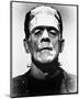 Frankenstein-null-Mounted Photo