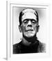 Frankenstein-null-Framed Photo