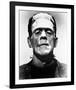 Frankenstein-null-Framed Photo