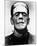Frankenstein-null-Mounted Photo