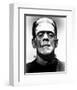 Frankenstein-null-Framed Photo