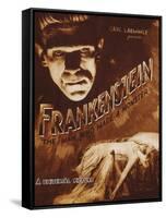 Frankenstein-null-Framed Stretched Canvas