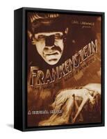 Frankenstein-null-Framed Stretched Canvas