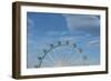 Frankfurt on the Main, Hesse, Germany, Ferris Wheel at the Frankfurt Spring Fair Dippemess-Bernd Wittelsbach-Framed Photographic Print