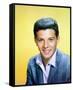 Frankie Avalon-null-Framed Stretched Canvas