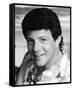 Frankie Avalon-null-Framed Stretched Canvas