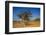 Frankincense Trees (Boswellia Elongata), Homil Protected Area, Island of Socotra-Michael Runkel-Framed Photographic Print