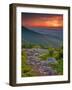 Franklin Cliff Overlook, Virginia, USA-Cathy & Gordon Illg-Framed Photographic Print