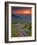 Franklin Cliff Overlook, Virginia, USA-Cathy & Gordon Illg-Framed Photographic Print