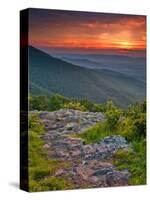 Franklin Cliff Overlook, Virginia, USA-Cathy & Gordon Illg-Stretched Canvas