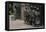 Franklin D. Roosevelt Memorial. United States-null-Framed Stretched Canvas