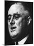 Franklin Delano Roosevelt 32nd President of the Usa-null-Mounted Photographic Print