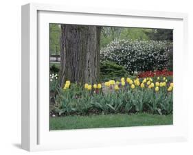 Franklin Park, Columbus, Ohio, USA-null-Framed Photographic Print