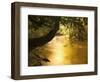 Franklin River, Franklin-Gordon Wild Rivers National Park, Tasmania, Australia, Pacific-Jochen Schlenker-Framed Photographic Print