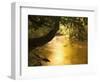 Franklin River, Franklin-Gordon Wild Rivers National Park, Tasmania, Australia, Pacific-Jochen Schlenker-Framed Photographic Print