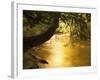 Franklin River, Franklin-Gordon Wild Rivers National Park, Tasmania, Australia, Pacific-Jochen Schlenker-Framed Photographic Print