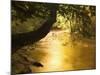 Franklin River, Franklin-Gordon Wild Rivers National Park, Tasmania, Australia, Pacific-Jochen Schlenker-Mounted Photographic Print