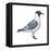 Franklin's Gull (Larus Pipixcan), Birds-Encyclopaedia Britannica-Framed Stretched Canvas