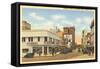 Franklin Street, Tampa, Florida-null-Framed Stretched Canvas