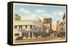 Franklin Street, Tampa, Florida-null-Framed Stretched Canvas