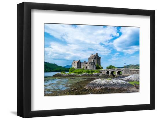Premium Photographic Print, , large
