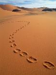 Oasis at Um Al Ma salt lake, Sahara desert, Ubari, Libya-Frans Lemmens-Photographic Print