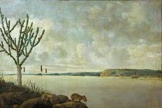 Brasilian Landscape with Anteater. Probably 1649-Frans Post-Framed Giclee Print