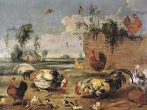 Fight of Cocks-Frans Snyders-Art Print