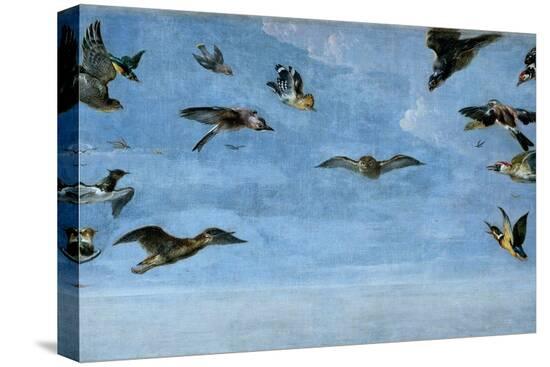 Stretched Canvas Print, , large