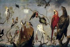 Concert of the Birds, 1629-1630, Flemish School-Frans Snyders-Giclee Print