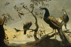 Oiseaux sur des branches-Frans Snyders-Giclee Print