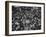 Frantic Day at the New York Stock Exchange During the Market Crash-Yale Joel-Framed Photographic Print