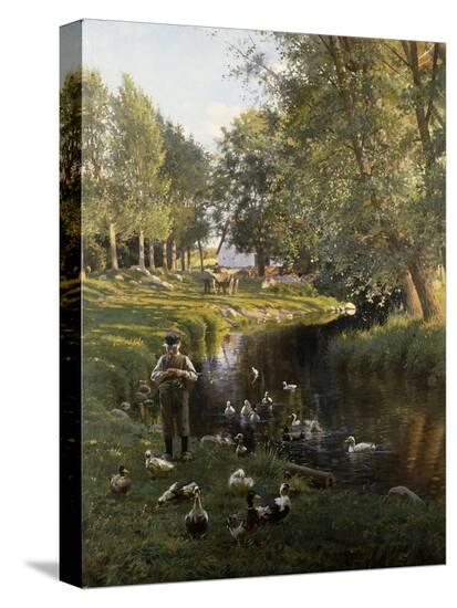 Stretched Canvas Print, , large