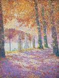 Brussels Park-Franz Gailliard-Framed Giclee Print