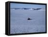 Franz Josef Land, Aerial View of Russian Nuclear-Powered Icebreaker 'Yamal' in Sea-Ice, Russia-Allan White-Framed Stretched Canvas