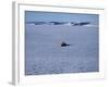 Franz Josef Land, Aerial View of Russian Nuclear-Powered Icebreaker 'Yamal' in Sea-Ice, Russia-Allan White-Framed Photographic Print